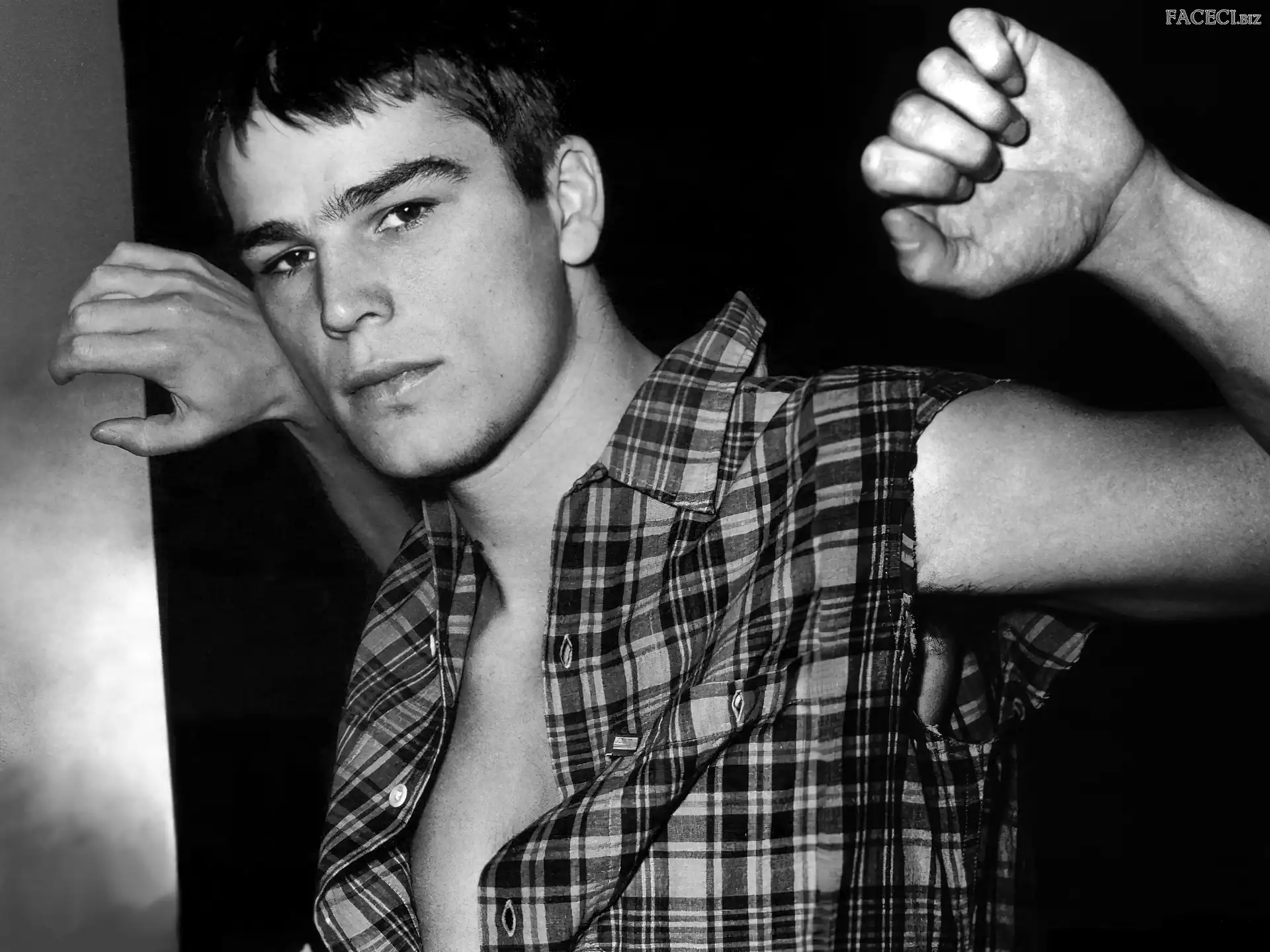 w kratÄ™, Josh Hartnett, koszula